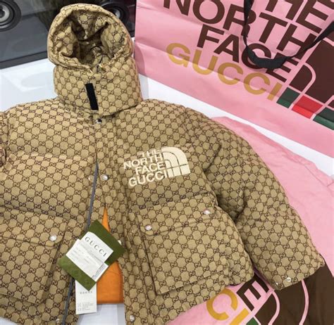 north face x gucci doudoune|north face Gucci shop online.